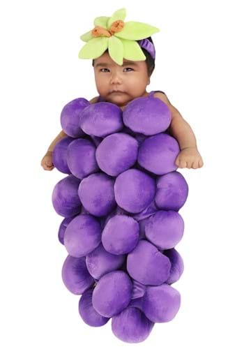 Infant Grape Bunting Costume