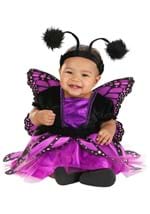Girls Purple Butterfly Infant Costume