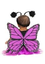 Girls Purple Butterfly Infant Costume Alt 1