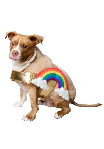 Rainbow Pet Costume