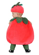 Infant Tiny Tomato Costume Alt 1