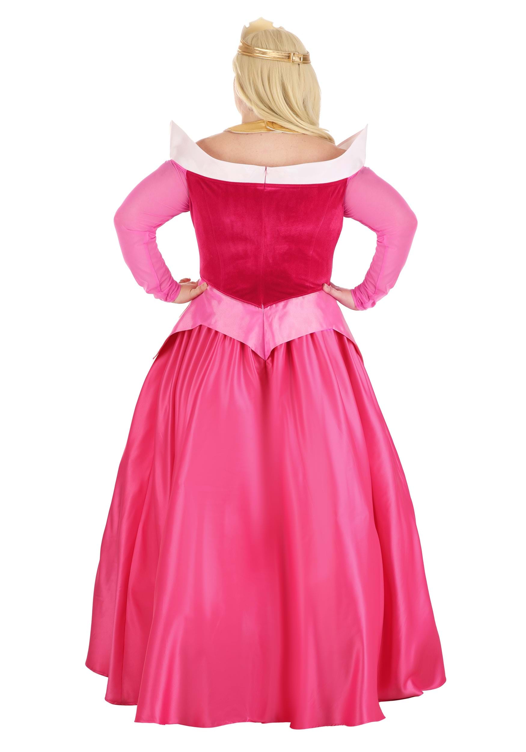 Premium Disney Sleeping Beauty Aurora Costume for Women