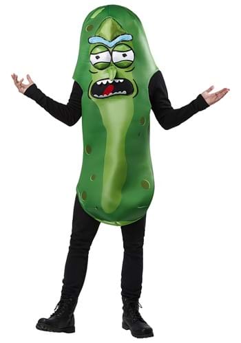 Rick and Morty Pickle Rick Costume