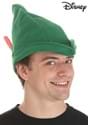 Disney Green Peter Pan Costume Hat