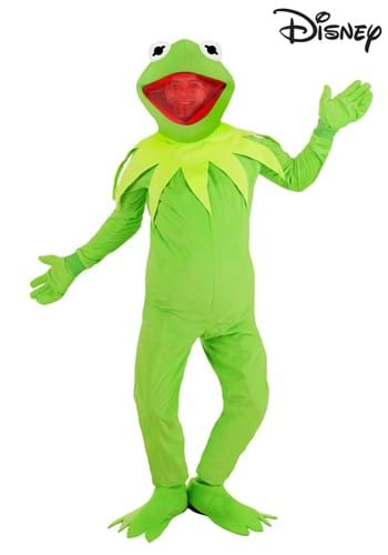 Muppets Costumes For Adults & Kids - Halloween.com