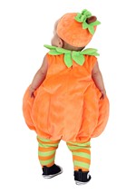 Plump Pumpkin Alt 1