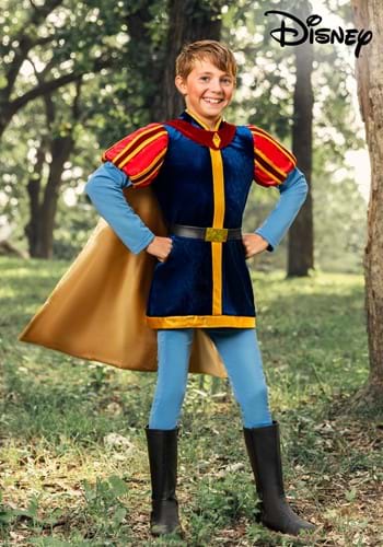 Boys Disney Sleeping Beauty Prince Phillip Costume