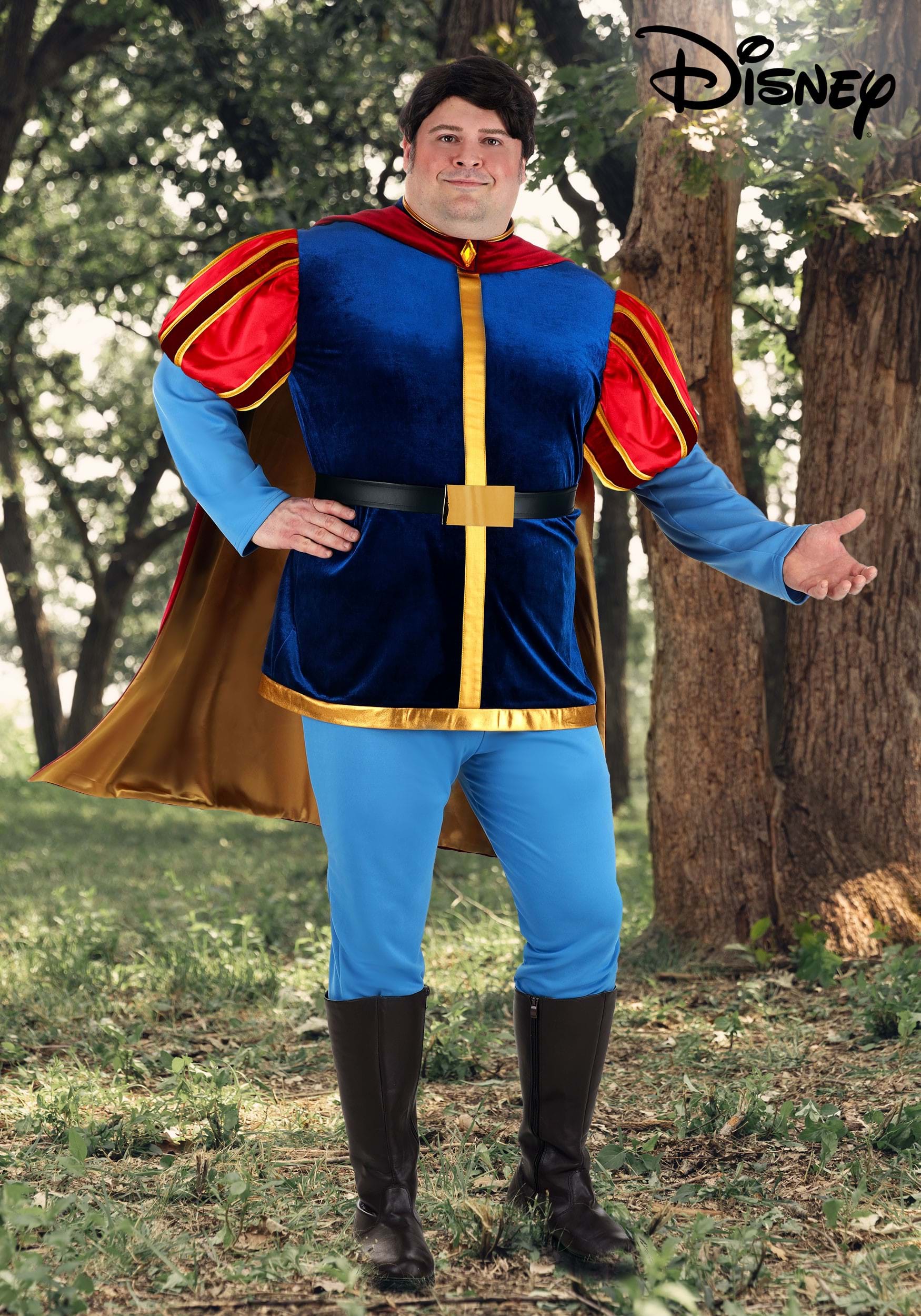 Men's Plus Size Disney Sleeping Beauty Prince Phillip Costume