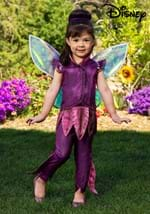 Toddler Disney Fairies Vidia Costume