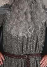 Plus Size Gandalf Lord of the Rings Costume Alt 7