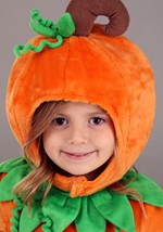 Toddler Prize Pumpkin Costume Alt 3