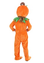 Toddler Prize Pumpkin Costume Alt 2