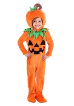 Toddler Prize Pumpkin Costume Alt 1