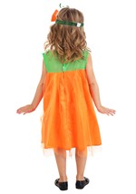 Toddler Shimmering Pumpkin Costume Alt 3