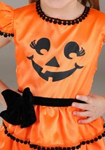 Toddler Pom Pom Pumpkin Costume Alt 2