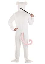 Adult Nursery Rhyme Blind Mouse Costume Alt 1