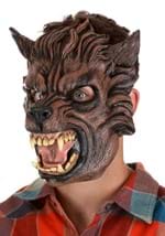Adult Brown Wolf Mask