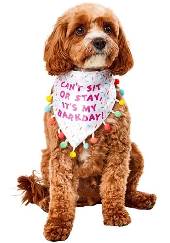 Sprinkle Birthday Bandana Pet Costume