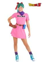Adult Dragon Ball Bulma Costume