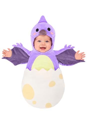 Tiny Pterodactyl Dino Infant Costume Bunting 1