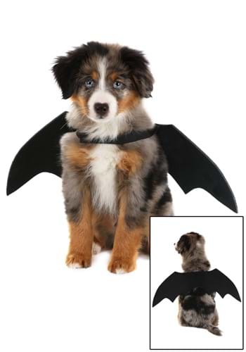 Pet Black Bat Wings Costume