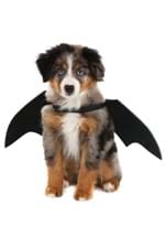 Pet Black Bat Wings Costume Alt 1