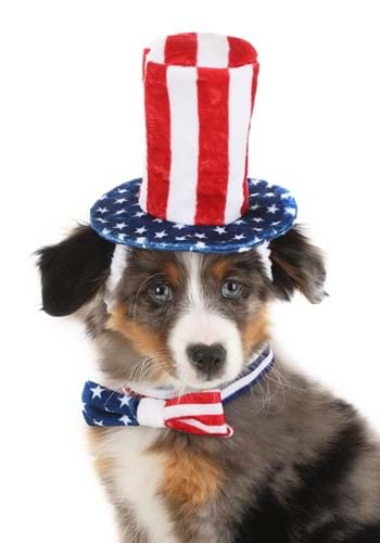 4th of July Pet Costume Accessory Kit