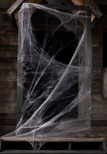 White Spider Web Decoration