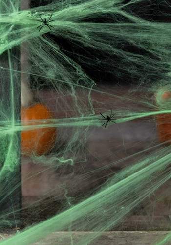 Green Spider Web Decoration