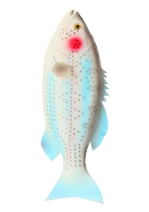 Rubber Fish Rainbow Trout Prop