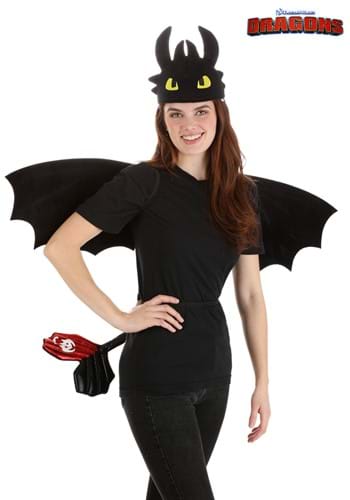How to Train Your Dragon Toothless Costume Kit Main UPD