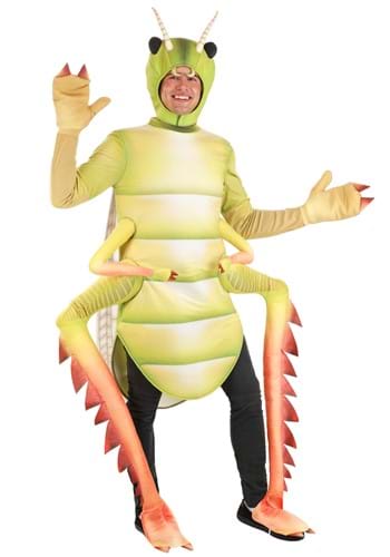 Adult Deluxe Grasshopper Costume