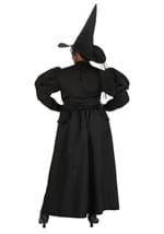 Wizard of Oz Plus Size Adult Wicked Witch Costume Alt 1