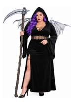 Plus Size Winged Reaper Womens Costume 1