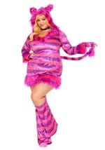 Plus Size Wonderland Magic Cat Costume for Women