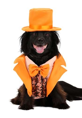 Iconic Orange Tuxedo Pets Costume