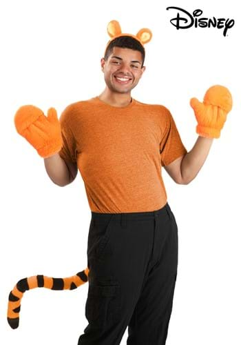 Premium Disney Winnie the Pooh Tigger Costume Kit