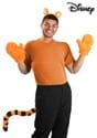 Premium Disney Winnie the Pooh Tigger Costume Kit