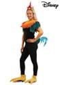 Deluxe Disney Moana Hei Hei Costume Kit
