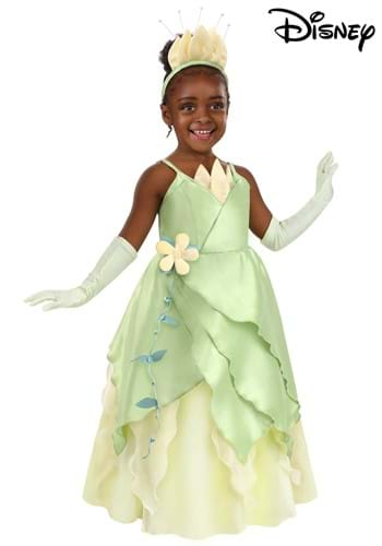 Toddler Disney Princess and the Frog Tiana Costume