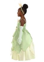 Toddler Disney Princess and the Frog Tiana Costume Alt 2