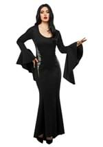 Womens Morticia Costume Dress