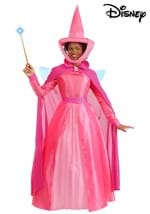 Disney Sleeping Beauty Womens Flora Costume