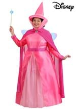 Plus Size Disney Sleeping Beauty Flora Costume