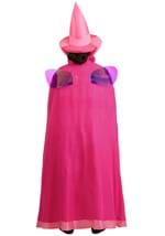 Plus Size Disney Sleeping Beauty Flora Costume Alt 1
