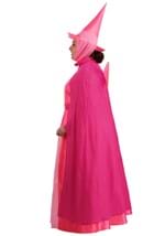 Plus Size Disney Sleeping Beauty Flora Costume Alt 2