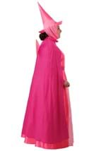 Plus Size Disney Sleeping Beauty Flora Costume Alt 3