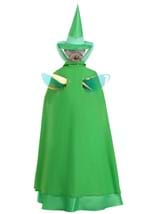 Disney Sleeping Beauty Fauna Costume Women Alt 1