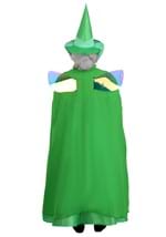Plus Size Disney Sleeping Beauty Fauna Womens Costume Alt 1