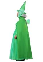 Plus Size Disney Sleeping Beauty Fauna Womens Costume Alt 2